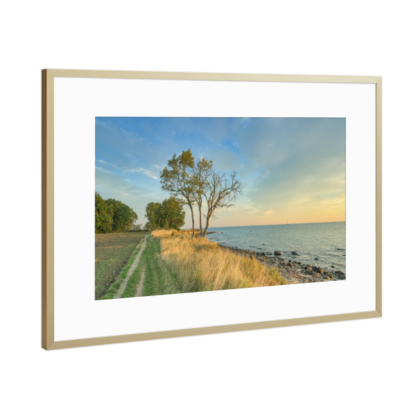 Poster mit Rahmen Gold "Fehmarn Steilküste Staberhuk" artboxONE - Natur,Reise,Reise / Strand und Meer