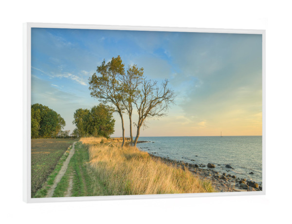 Poster mit weißem Rahmen "Fehmarn Steilküste Staberhuk" artboxONE - Natur,Reise,Reise / Strand und Meer