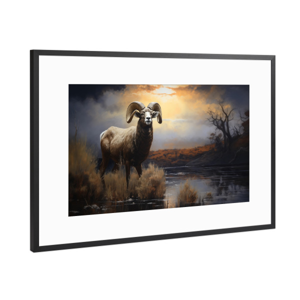 Poster mit Rahmen Schwarz (Metallic) "Ram nach dem Sturm" artboxONE - Natur,Tiere