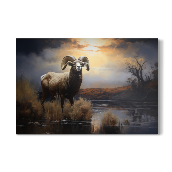 Galerie-Print "Ram nach dem Sturm" 30x20 cm artboxONE