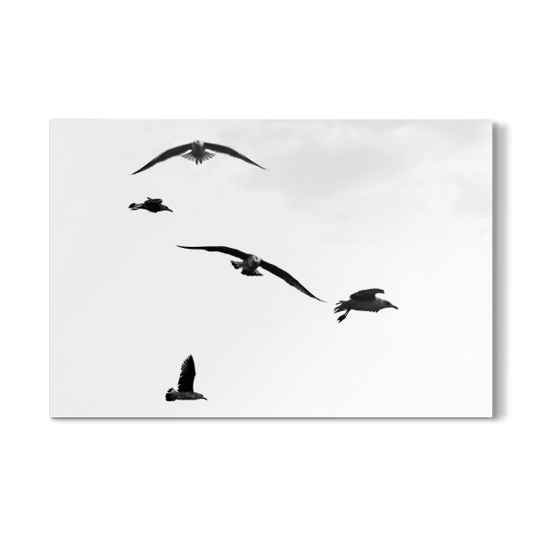 Galerie-Print "Querverkehr" 30x20 cm artboxONE