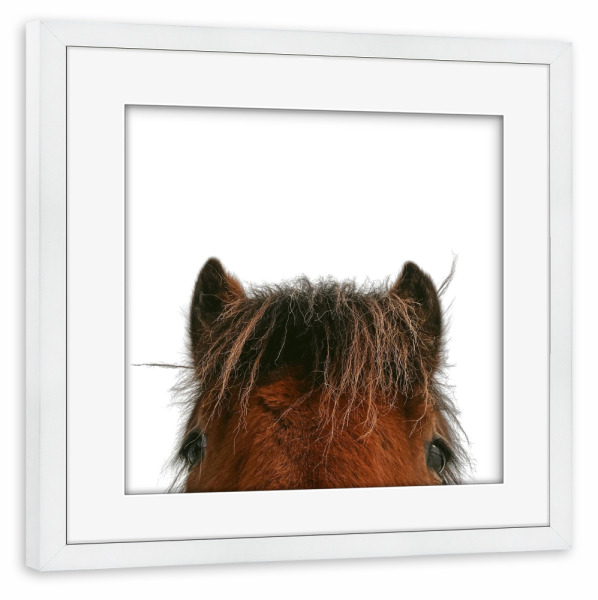 Poster mit Rahmen weiß "Selfie-Pferd" artboxONE - Tiere - Pferd,Pferde,Lustiges pferd,Tier,Tiere,Lustig,Bauernhof,Nutztier