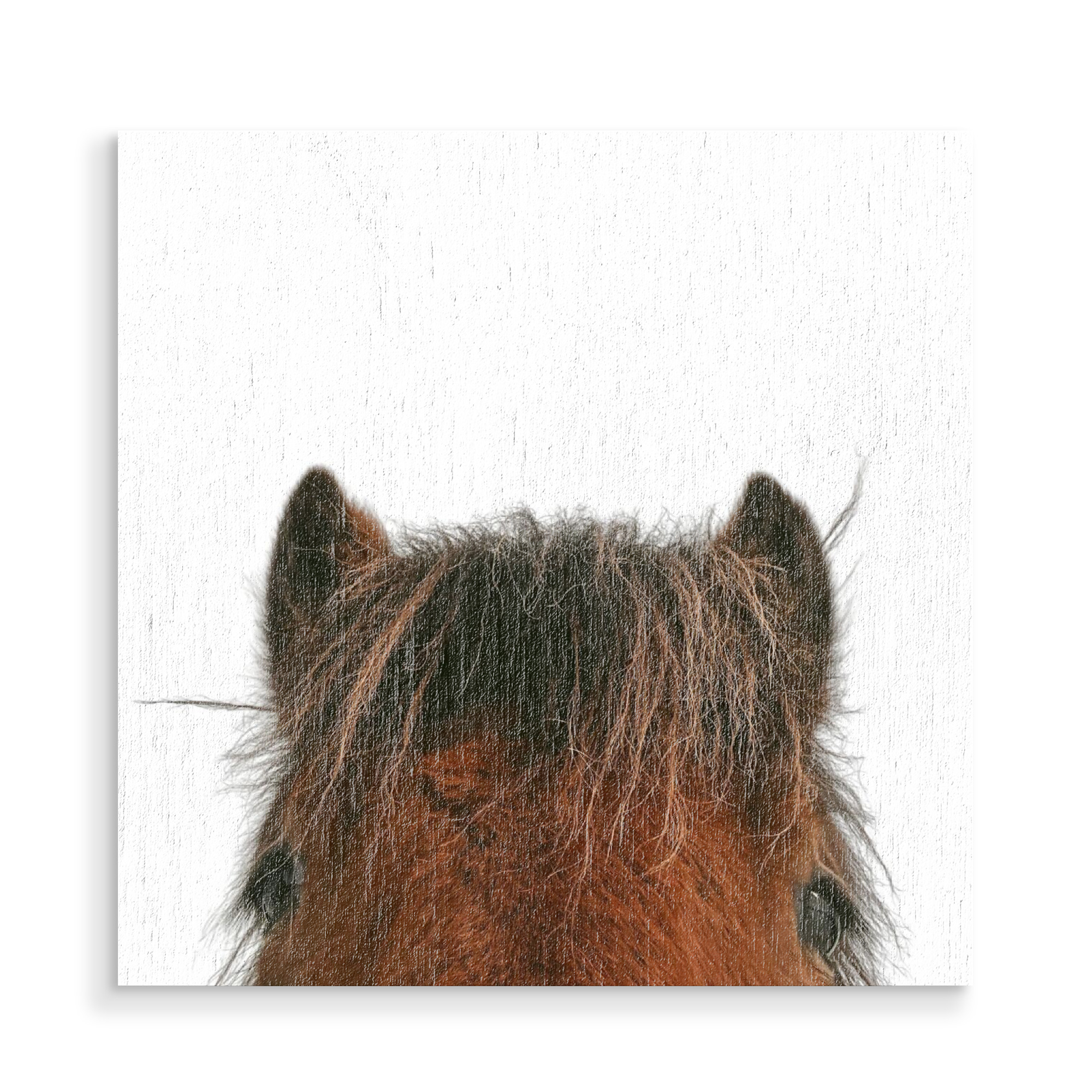 Holzbild "Selfie-Pferd" artboxONE - Tiere - Pferd,Pferde,Lustiges pferd,Tier,Tiere,Lustig,Bauernhof,Nutztier