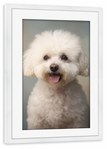 Poster mit Rahmen weiß "Fröhliche Bichon-Pommes" artboxONE - Tiere