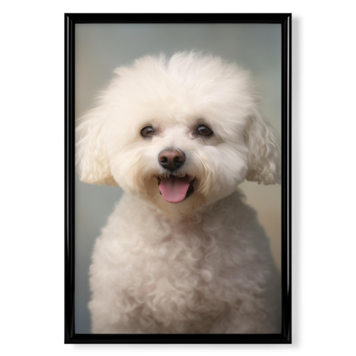 Happy bichon fries
