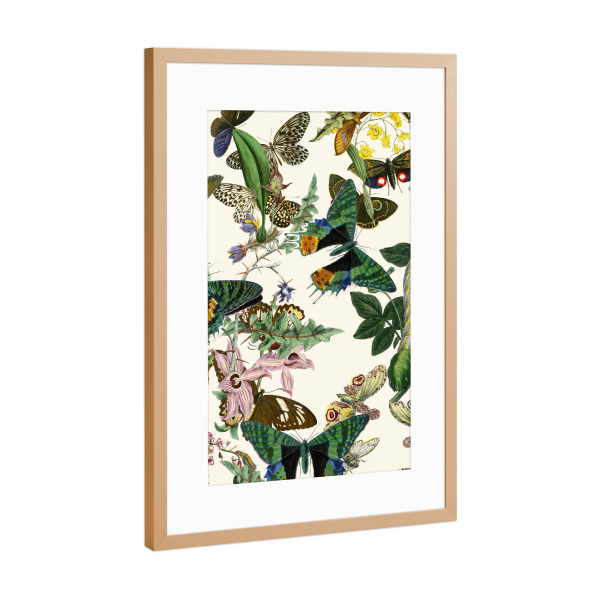 Poster mit Rahmen Kupfer "Monarca" artboxONE - Natur,Floral,Tiere - Schmetterling,Monarch,Blumen,Blume,Botanische,Botanische,Grün,Natur