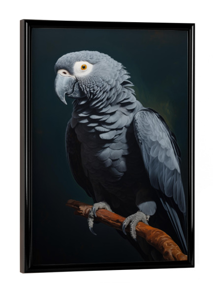 Poster mit schwarzem Rahmen "Afrikanischer Graupapagei" artboxONE - Natur,Tiere