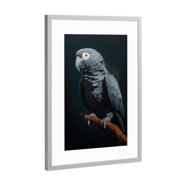 Poster mit Rahmen Silber "Afrikanischer Graupapagei" artboxONE - Natur,Tiere