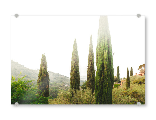 Acrylglasbild "Toscana morning" artboxONE - Natur,Reise,Reise / Länder - Toscana,Toskana,Tuscany,Pine trees,Morning light,Morning mood