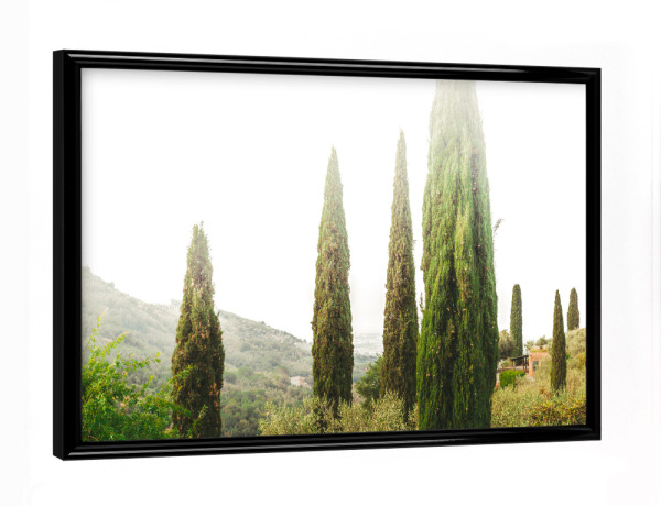 Poster mit schwarzem Rahmen "Toscana morning" artboxONE - Natur,Reise,Reise / Länder - Toscana,Toskana,Tuscany,Pine trees,Morning light,Morning mood