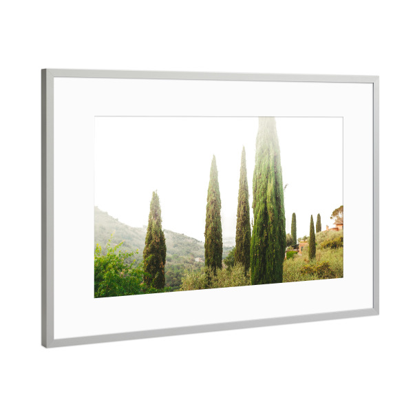 Poster mit Rahmen Silber "Toscana morning" artboxONE - Natur,Reise,Reise / Länder - Toscana,Toskana,Tuscany,Pine trees,Morning light,Morning mood