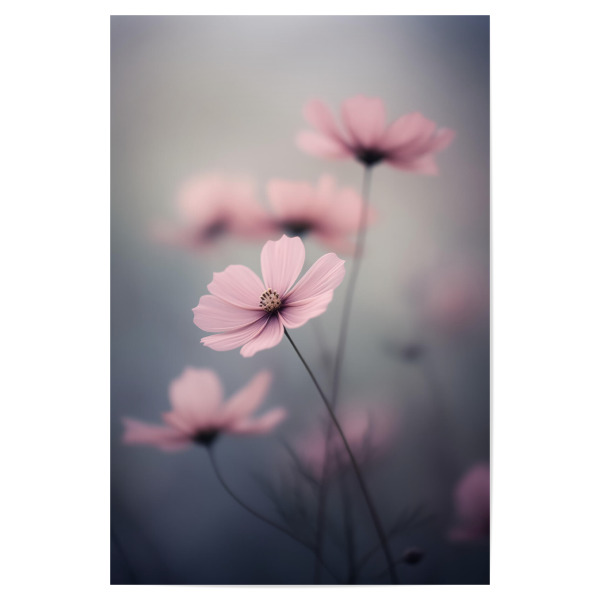 Poster "Rosa zartes Blumenmakro" artboxONE - Natur,Floral - Zart,Detail,Blume,Farben,Makro,Natur,Rosa,Weich,Frühling,Violett