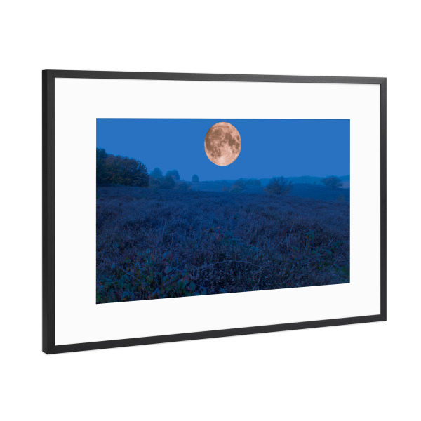 Poster mit Rahmen Schwarz (Metallic) "Vollmond über Heidelandlandschaft" artboxONE - Natur,Reise,Reise / Länder