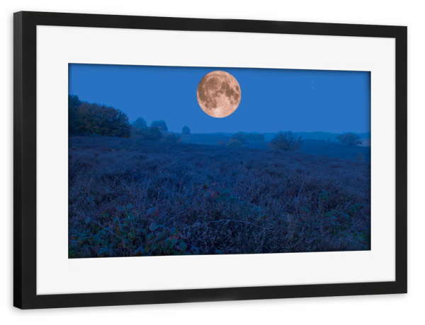 Poster mit Rahmen schwarz "Vollmond über Heidelandlandschaft" artboxONE - Natur,Reise,Reise / Länder