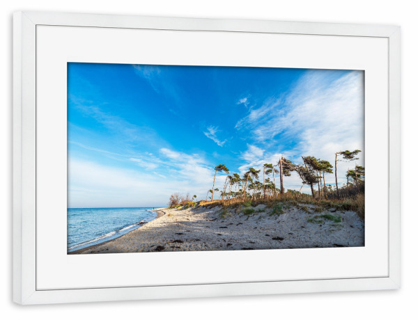 Poster mit Rahmen weiß "Weststrand mit Bäumen" artboxONE - Natur,Reise,Reise / Strand und Meer