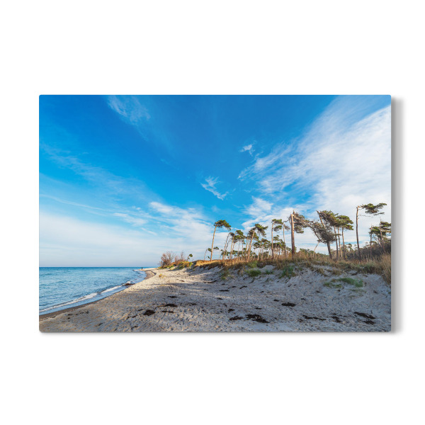 Galerie-Print "Weststrand mit Bäumen" 30x20 cm artboxONE