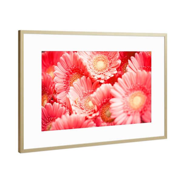 Poster mit Rahmen Gold "Pink blossom dream" artboxONE - Natur,Floral - Pink,Blossom,Blüte,Flower,Blume,Floral