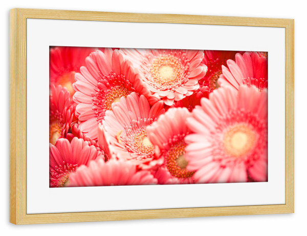 Poster mit Rahmen kiefer "Pink blossom dream" artboxONE - Natur,Floral - Pink,Blossom,Blüte,Flower,Blume,Floral