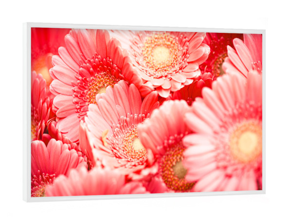 Poster mit weißem Rahmen "Pink blossom dream" artboxONE - Natur,Floral - Pink,Blossom,Blüte,Flower,Blume,Floral