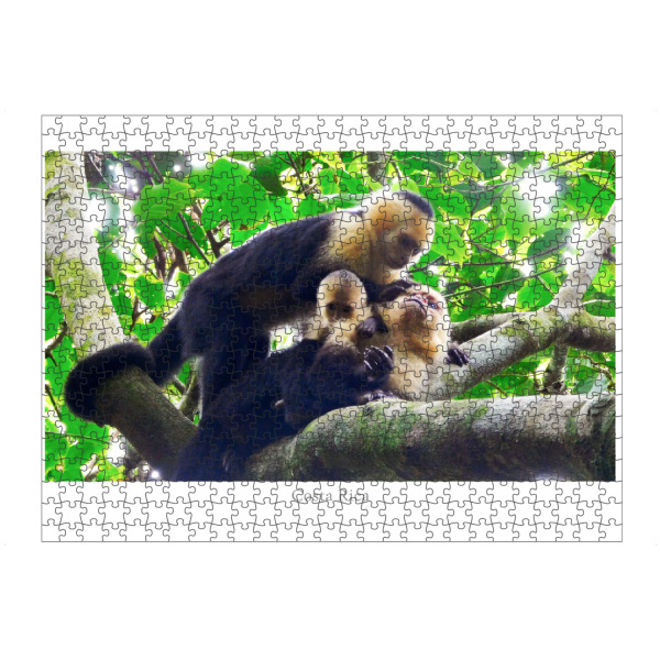 artboxONE Puzzle "Monkeys of Costa Rica" artboxONE - Natur,Reise,Tiere,Reise / Länder