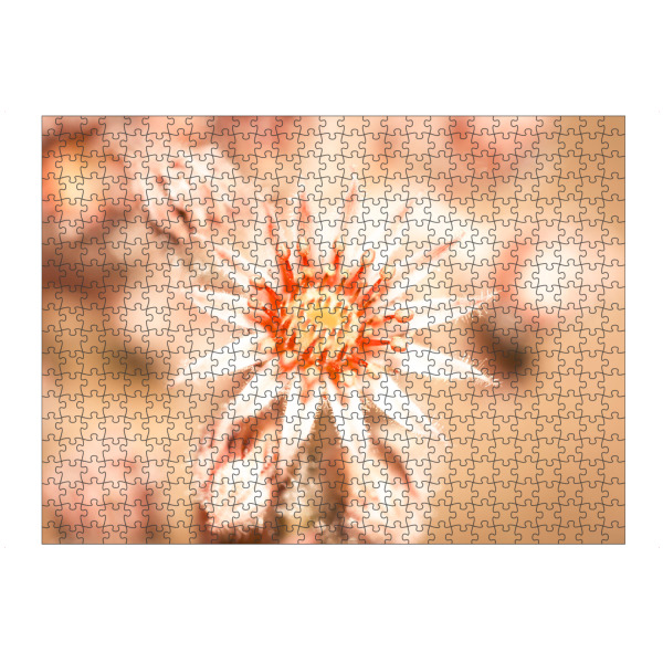 artboxONE Puzzle "Sunny Andikythira" artboxONE - Natur,Reise,Floral - France,Frankreich,Provence,Andikythira - Bild france