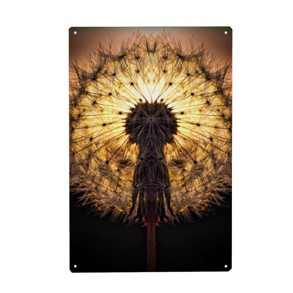 Metall Poster "Löwenzahn" artboxONE - Natur,Floral