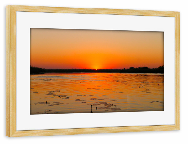 Poster mit Rahmen kiefer "An Okavango Sunset" artboxONE - Natur,Reise,Reise / Afrika,Reise / Länder