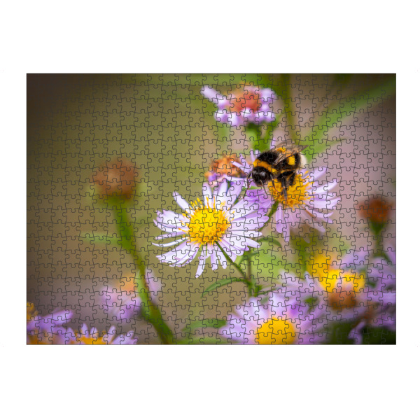 artboxONE Puzzle "Eine Hummel auf einer Blüte" artboxONE - Natur,Tiere - Blumenwiese,Hummel,Blume,Blüte,Biene,Natur,Insekt - Bild blumenwiese