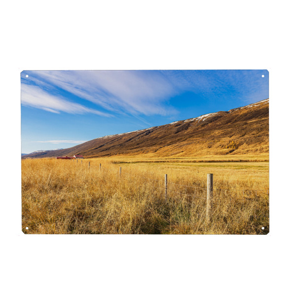 Metall Poster "Landschaft mit Gras in Island" artboxONE - Natur,Reise,Reise / Länder