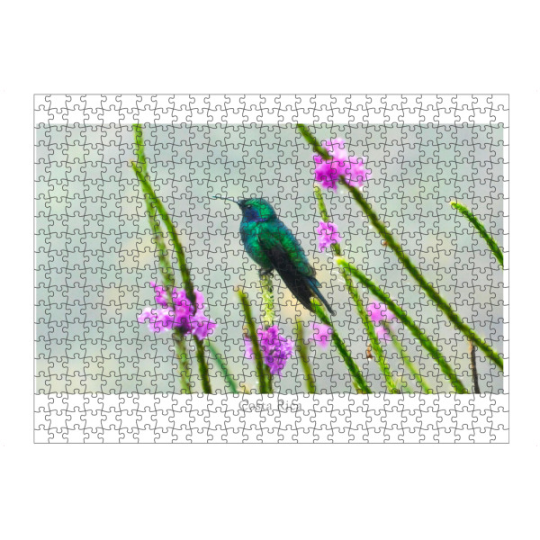 artboxONE Puzzle "Ein grüner Kolibri" artboxONE - Natur,Reise,Tiere,Reise / Länder