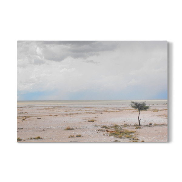 Galerie-Print "Die Etoscha-Salzpfanne" 30x20 cm artboxONE