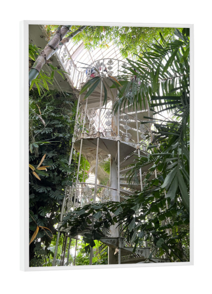 Poster mit weißem Rahmen "KEW Botanischer Garten Tropen" artboxONE - Natur,Architektur,Geometrie,Fashion