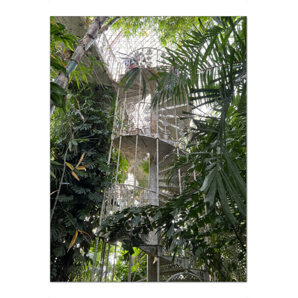 Puzzle Ravensburger "KEW Botanischer Garten Tropen" artboxONE - Natur,Architektur,Geometrie,Fashion