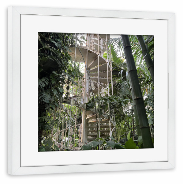 Poster mit Rahmen weiß "KEW Botanischer Garten im Winter" artboxONE - Städte / London,Floral,Architektur,Geometrie,Streetart