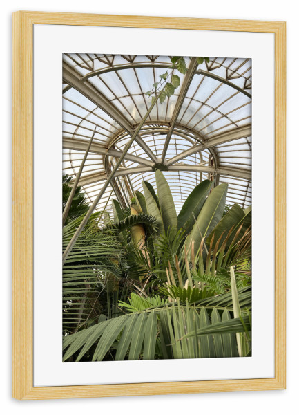 Poster mit Rahmen kiefer "KEW Botanischer Garten" artboxONE - Reise,Floral,Architektur,Geometrie,Streetart