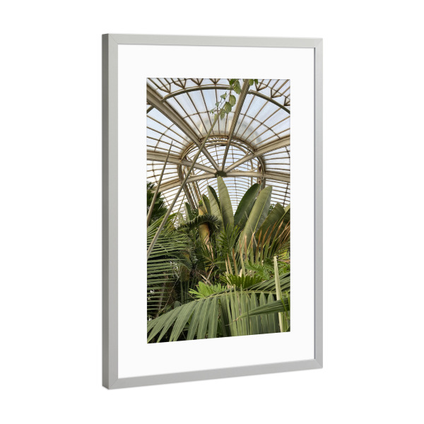 Poster mit Rahmen Silber "KEW Botanischer Garten" artboxONE - Reise,Floral,Architektur,Geometrie,Streetart