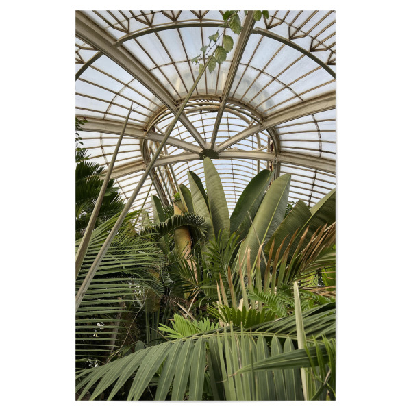Poster 30x20 cm "KEW Botanischer Garten" artboxONE - Reise,Floral,Architektur,Geometrie,Streetart