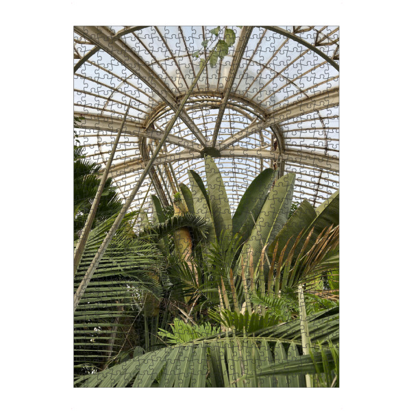 Puzzle Ravensburger "KEW Botanischer Garten" artboxONE - Reise,Floral,Architektur,Geometrie,Streetart