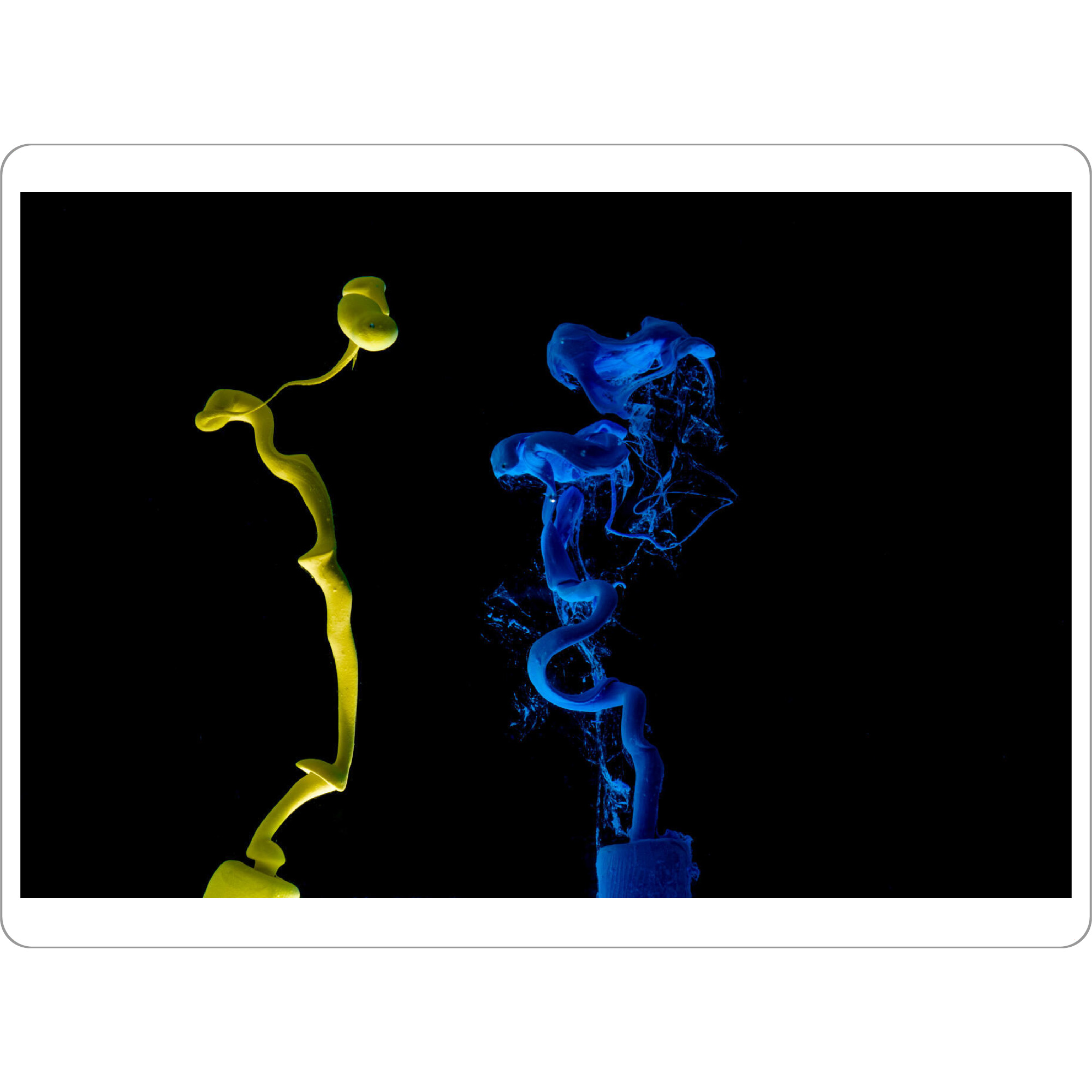 Tischset "Blue Yellow ink in water" artboxONE - Abstrakt - Tinte,Farbe,Wasserfarbe - Bild tinte