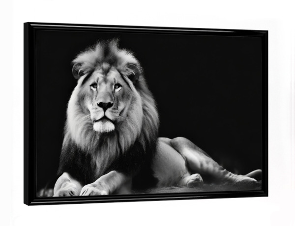 Poster mit schwarzem Rahmen "Löwe in der Savanne" artboxONE - Tiere,Schwarzweiß - Afrika,Raubtiere,Löwe,Wildtier,Tier,Savanne,Großkatzen