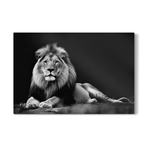 Galerie-Print "Löwe in der Savanne" 30x20 cm artboxONE