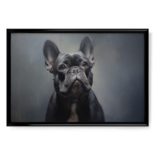 Französischen Bulldogge Französischen Bulldogge