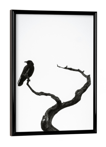 Poster mit schwarzem Rahmen "Schwarzer Vogel auf der Hut" artboxONE - Natur,Tiere