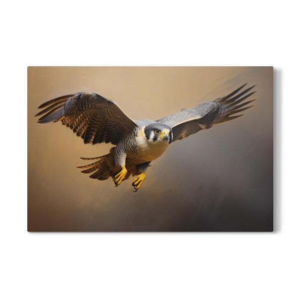 Galerie-Print "Fliegender Wanderfalke" 30x20 cm artboxONE