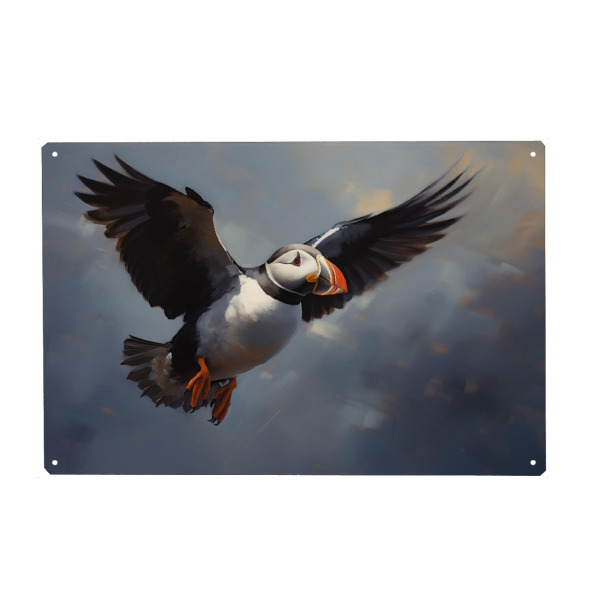 Metall Poster "Fliegender Papageientaucher" artboxONE - Natur,Tiere