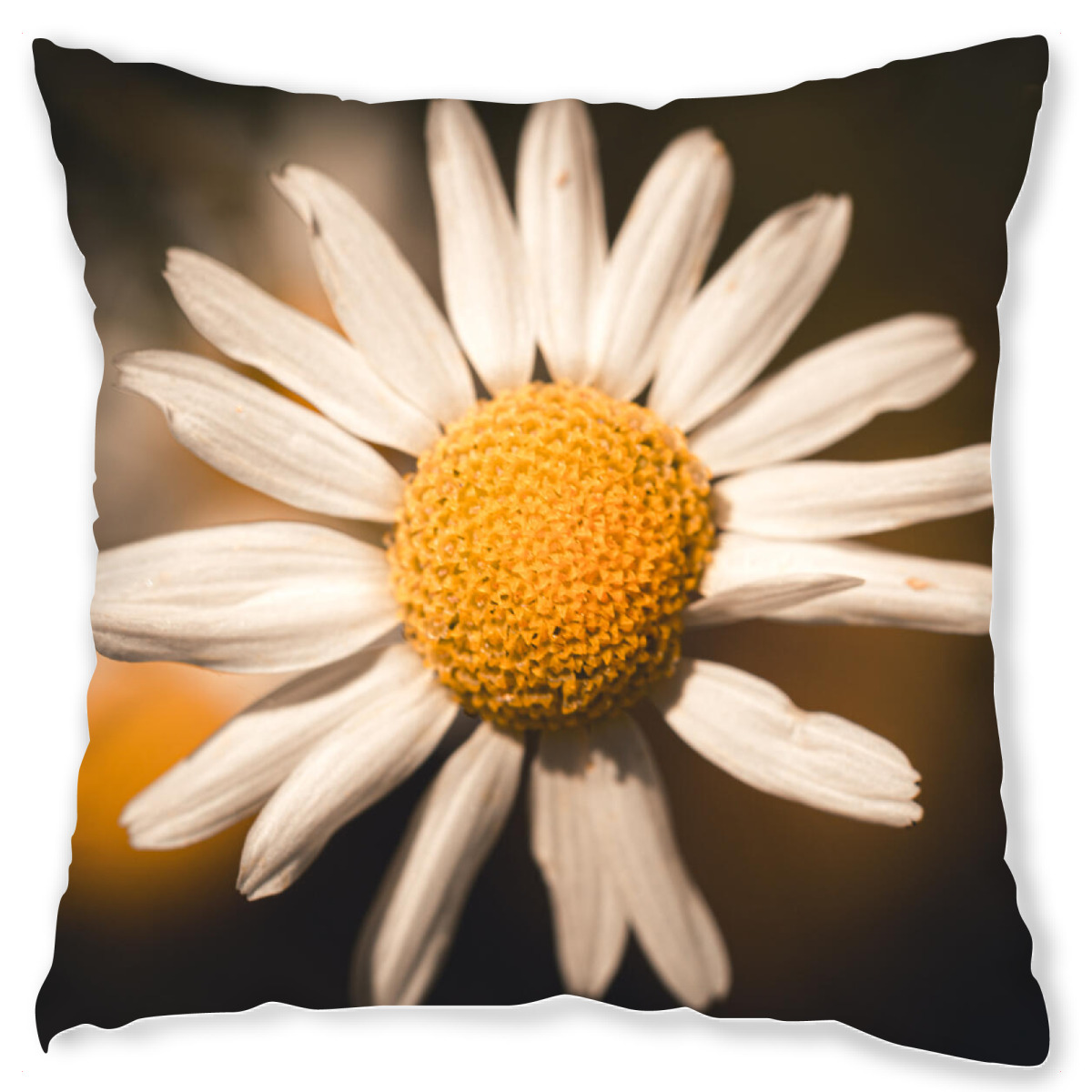 Design-Kissen "Camomile / Kamille" artboxONE - Natur,Floral - Camomile,Kamille,Blß¼te,Blossom