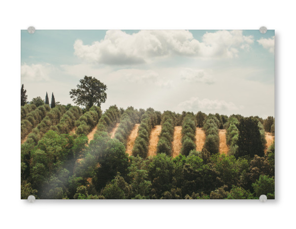 Acrylglasbild "Toscana mood" artboxONE - Natur,Reise,Floral,Reise / Länder - Toskana,Landscape photography,Landscapes,Italien,Natur