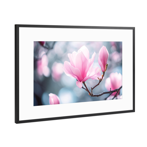 Poster mit Rahmen Schwarz (Metallic) "Rosa Magnolien-Bokeh" artboxONE - Natur,Floral - Blühen,Blühen,Blüte,Bokeh,Blume,Magnolie,Natur,Baum