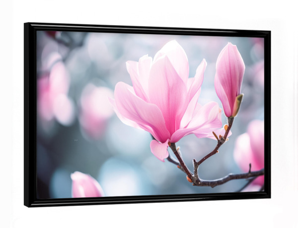 Poster mit schwarzem Rahmen "Rosa Magnolien-Bokeh" artboxONE - Natur,Floral - Blühen,Blühen,Blüte,Bokeh,Blume,Magnolie,Natur,Baum