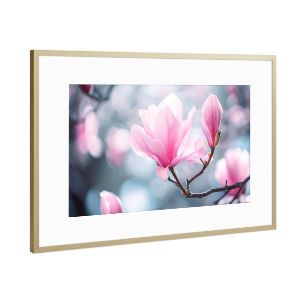 Poster mit Rahmen Gold "Rosa Magnolien-Bokeh" artboxONE - Natur,Floral - Blühen,Blühen,Blüte,Bokeh,Blume,Magnolie,Natur,Baum
